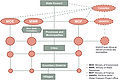 Structure of china govt wang deangelis 2012.jpg